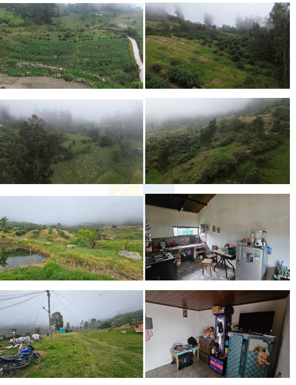 IMG-20260602-WA0117
